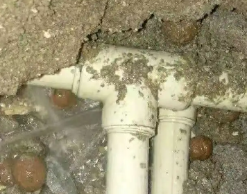 东河测漏水多少钱