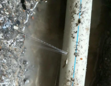 东河测漏水哪家好