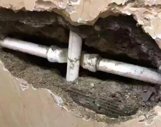 东河测漏水哪家好