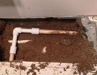 东河测漏水哪家好