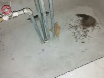 东河卫生间测漏水价格明细