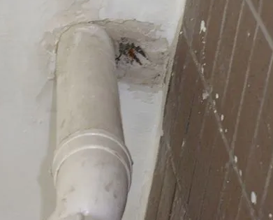 东河漏水检测哪家好